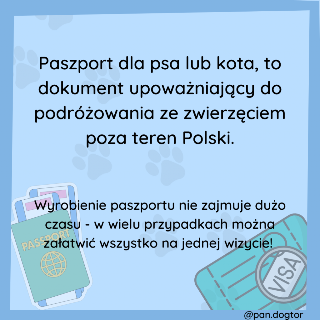 Paszport dla psa lub kota to dokument upoważniający do podróżowania ze zwierzęciem poza teren Polski.
Wyrobienie paszportu nie zajmuje dużo czasu - w wielu przypadkach można załatwić wszystko na jednej wizycie!